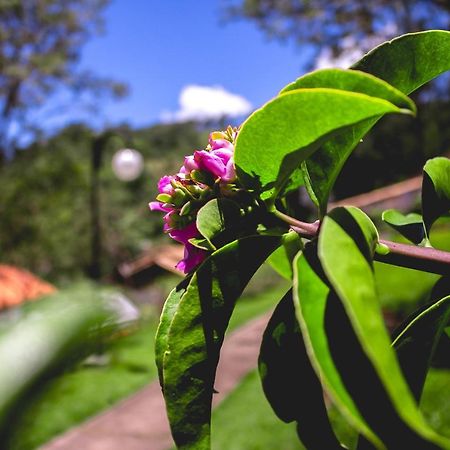 Pousada Recanto Dos Beija Flores มอนเต อัลเลเกร โด ซูล ภายนอก รูปภาพ