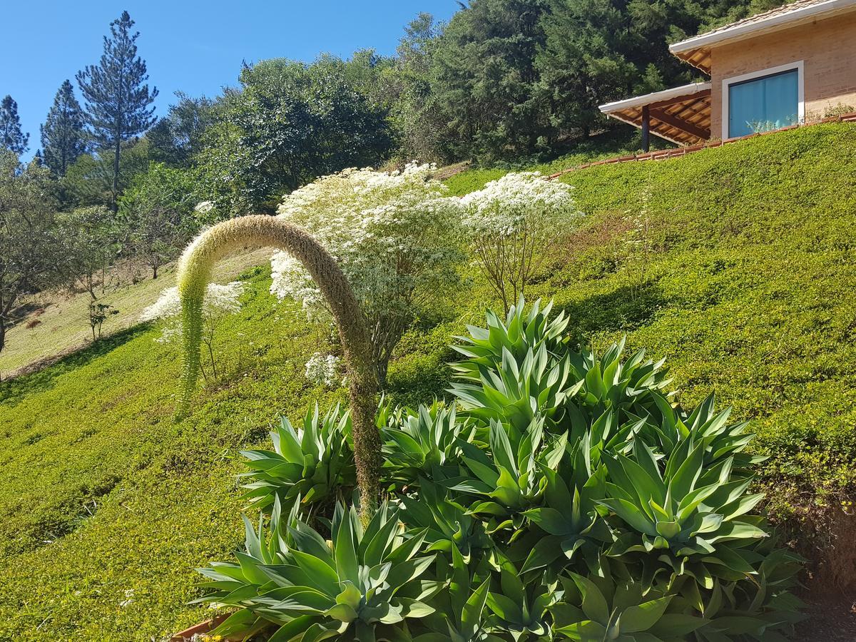 Pousada Recanto Dos Beija Flores มอนเต อัลเลเกร โด ซูล ภายนอก รูปภาพ