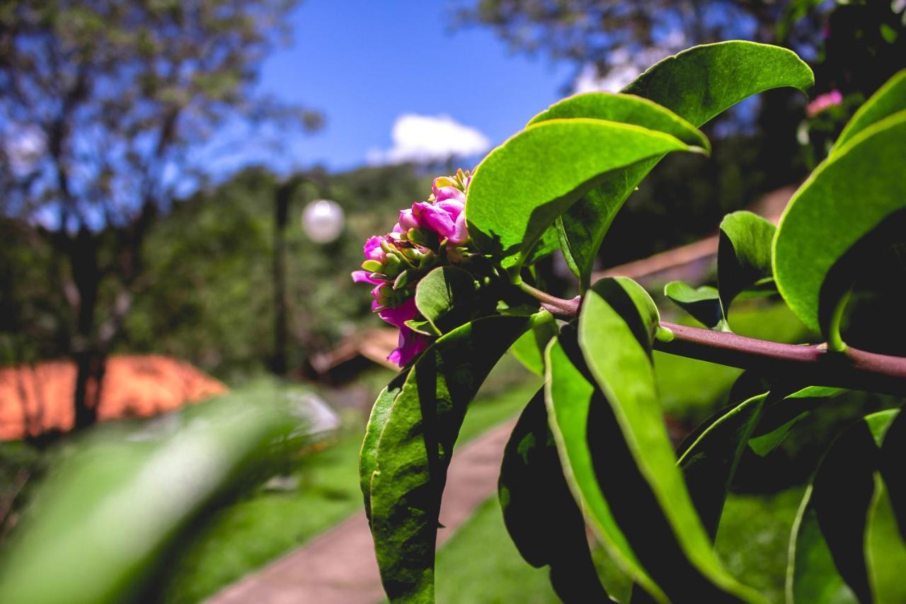 Pousada Recanto Dos Beija Flores มอนเต อัลเลเกร โด ซูล ภายนอก รูปภาพ